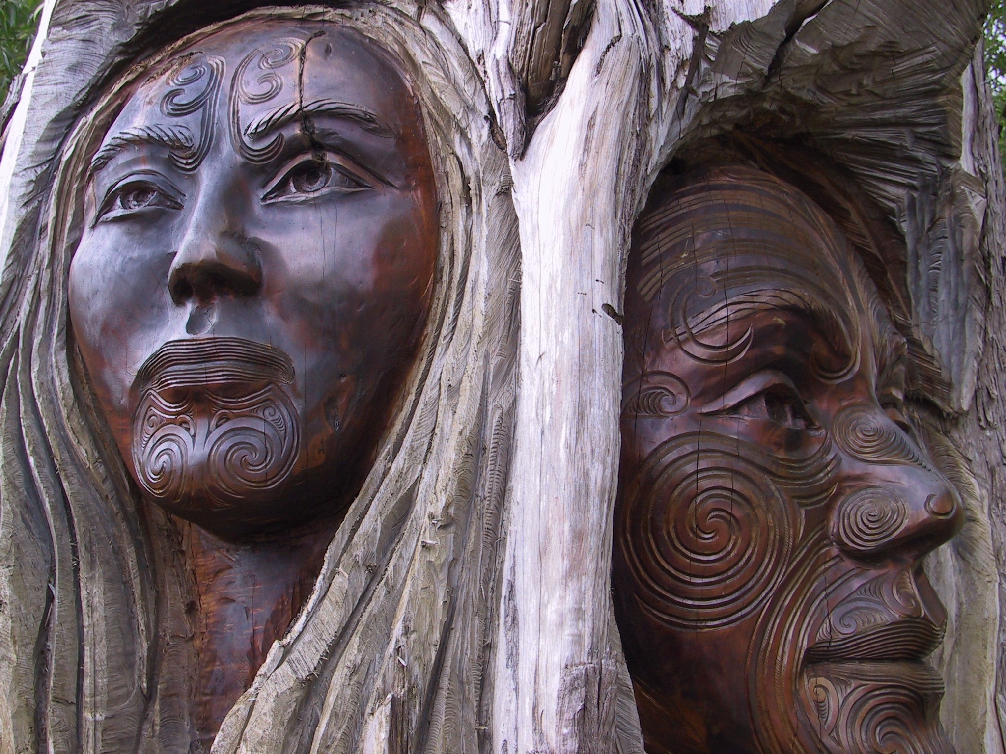 The Universality of Ethno-Racial Consciousness