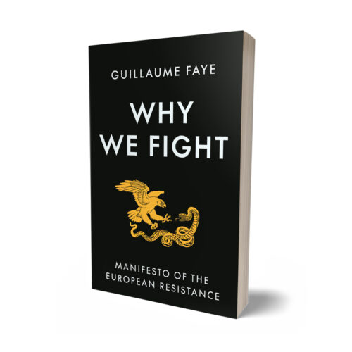 Why We Fight - Image 2