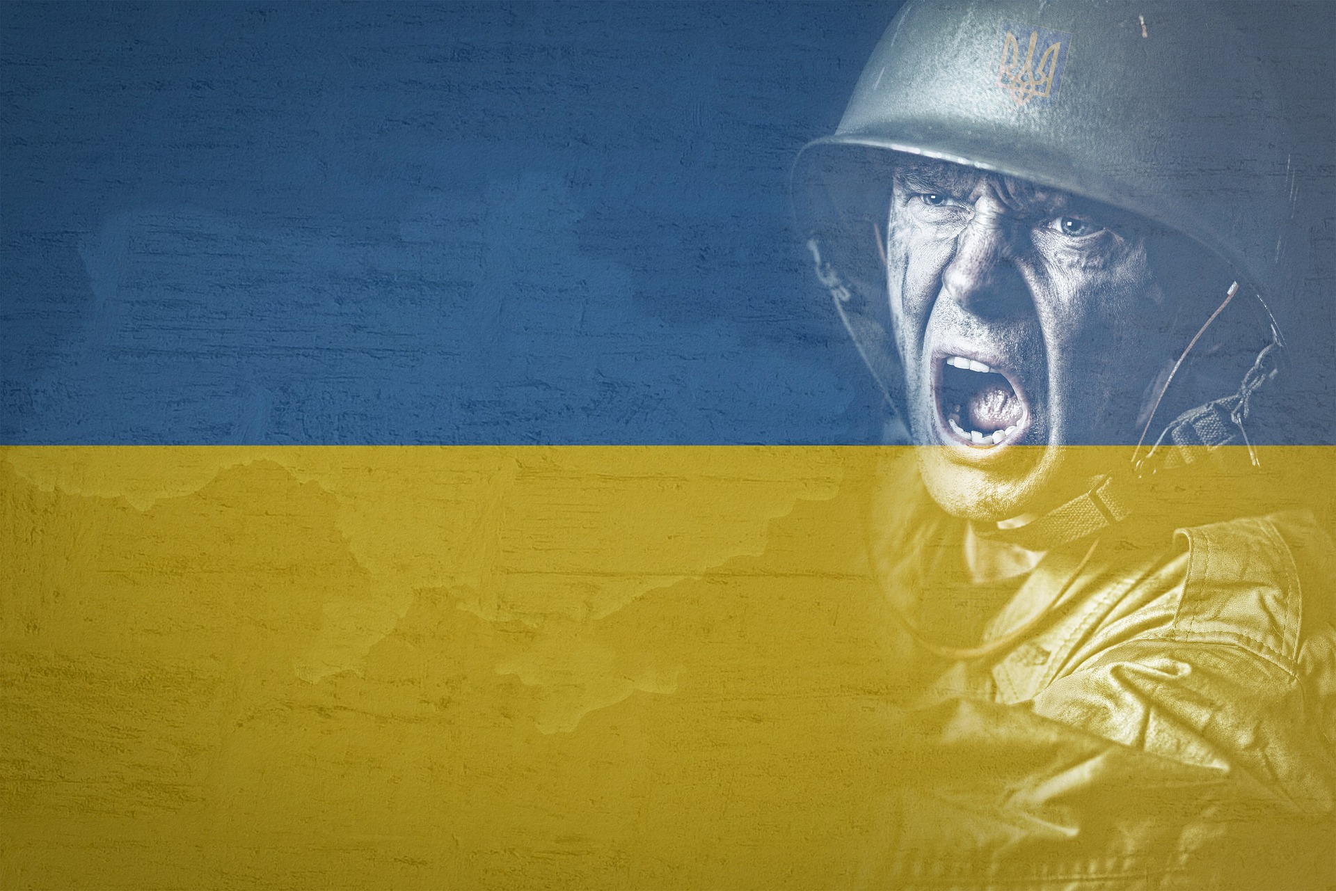 The Ukrainian Offensive