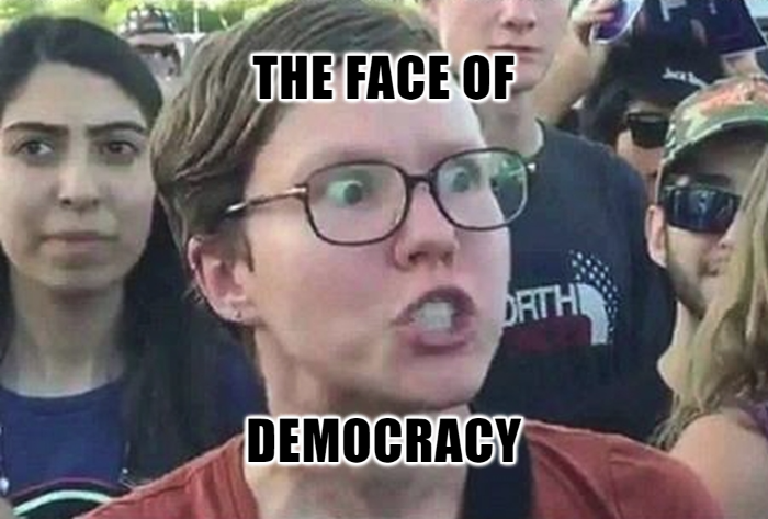 Democracy: The Age of Idiots