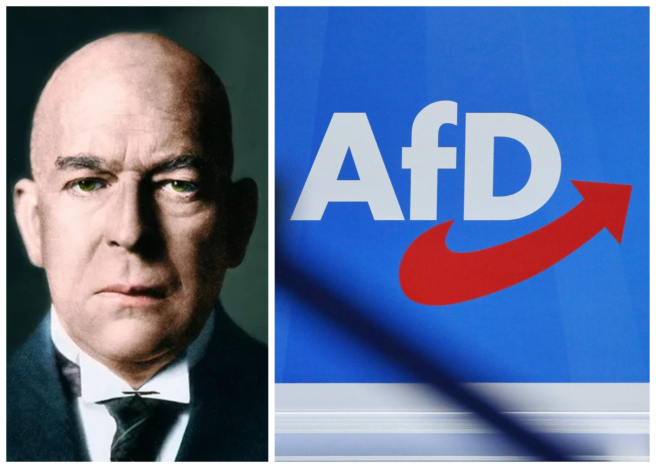 The AfD and the Axe of History